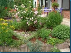 patio w herbs patio w herbs