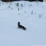 17.01.12 Rodeln Speikboden - slittata Monte Spico Trentino Alto Adige
