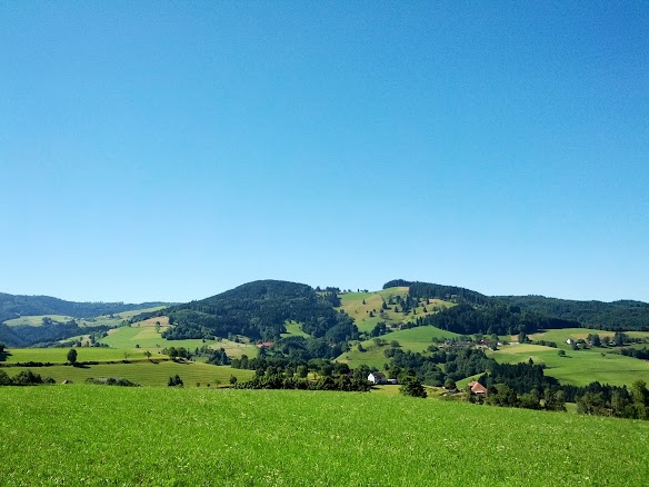 Blick von der Luisenhöhe zur Eduardshöhe. IMG_20130801_105043.jpg