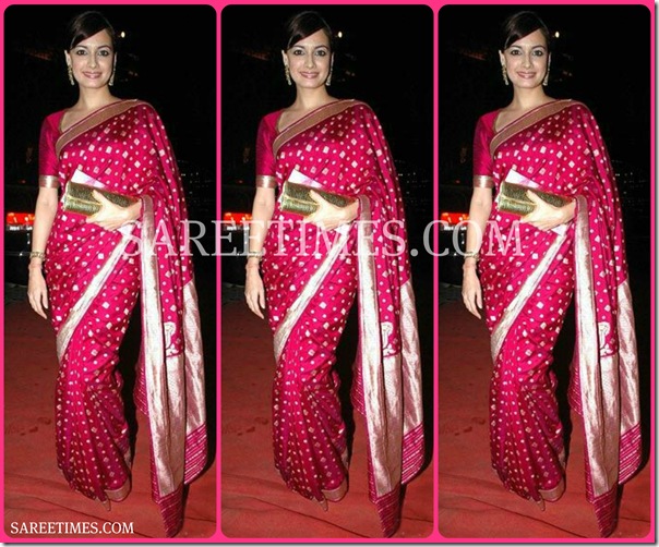 Dia_Mirza_Pink_Saree
