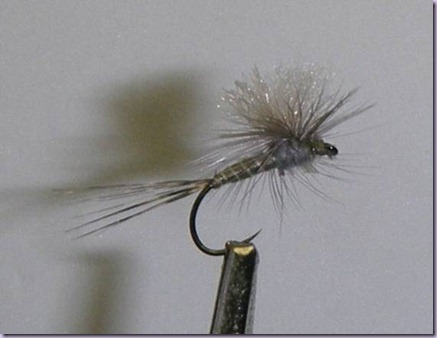 clip_image024 clip_image024