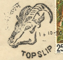 [ppp%2520topslip%2520close%255B4%255D.jpg]
