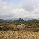 Moncong Lompobatang as seen from near Malakaji (Daniel Quinn, September 2011)