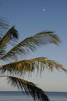 DSC_6266.jpg