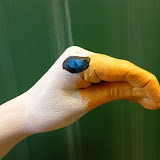 2D painted hands