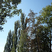 P1050768.JPG