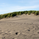 IMG_8464.JPG