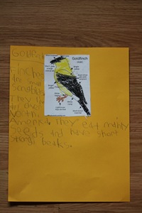 IMG_3625 IMG_3625