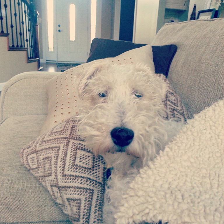 [IMG_20121213_082233%255B4%255D.jpg]