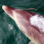 Deep Breath Part 1 - Bay Of Islands, New Zealand