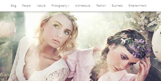 lucid wp theme review