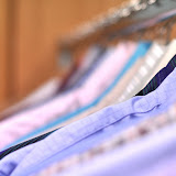 Shirty.jpg