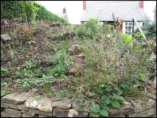 [3111garden1%255B3%255D.jpg]
