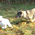 ochyda-11-07.jpg ochyda-11-07.jpg