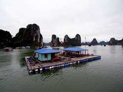 R0024247