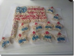 IMG_20110704_123921