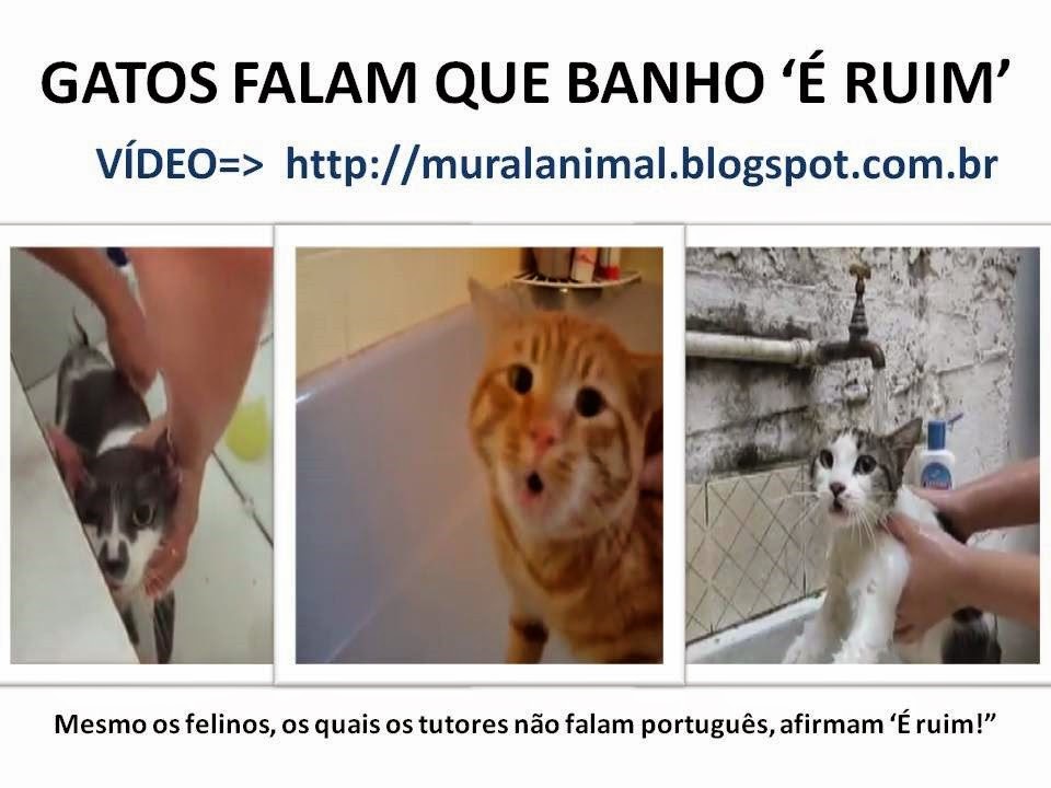 [Slide1%255B3%255D.jpg]