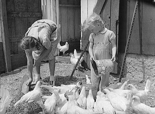 [8b07421r-1942-war4.jpg]