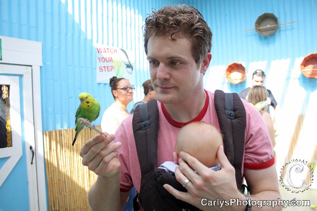[Gatorland6of162.jpg]