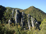 DSC00654.JPG