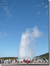 110827 NP Yellowstone (6)