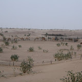 IMG_5329.JPG