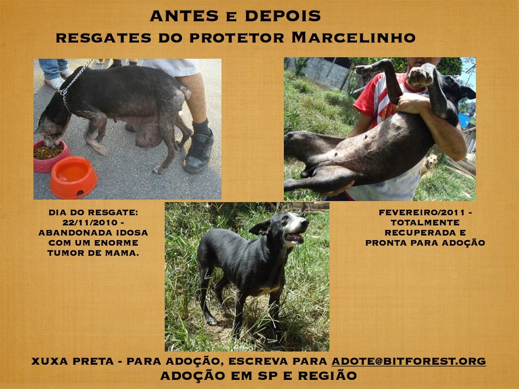 [marcelo_vieira%2520%25287%2529%255B3%255D.jpg]