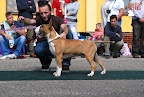 Karmacoma Fun-Da-Panda 7 months