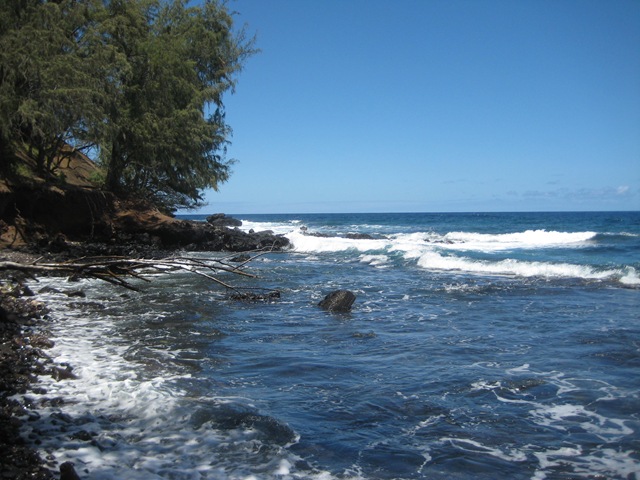 [IMG_2641%255B3%255D.jpg]