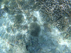 DSC00283.JPG