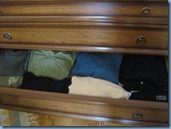 IMG_2984 IMG_2984