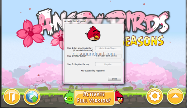 angry birds pc ativação 6