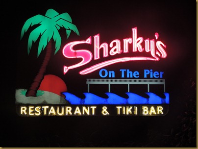 sharkys neon sign2