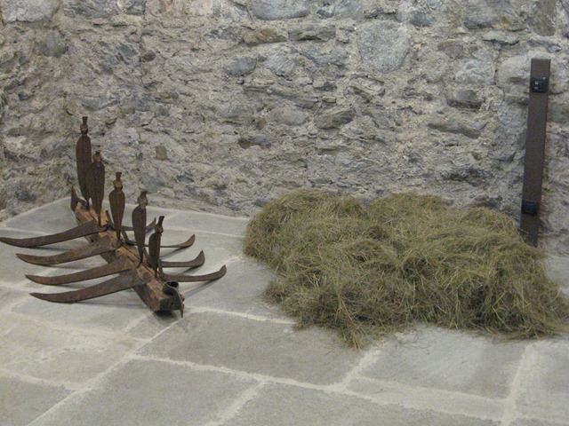 IMG_8035 IMG_8035