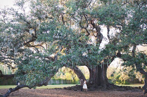 The couple strolled around New Orleans the night before looking for the perfect ceremony spot. They found it under this huge oak tree, located in the city's Audobon Park.