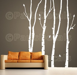 birch trees