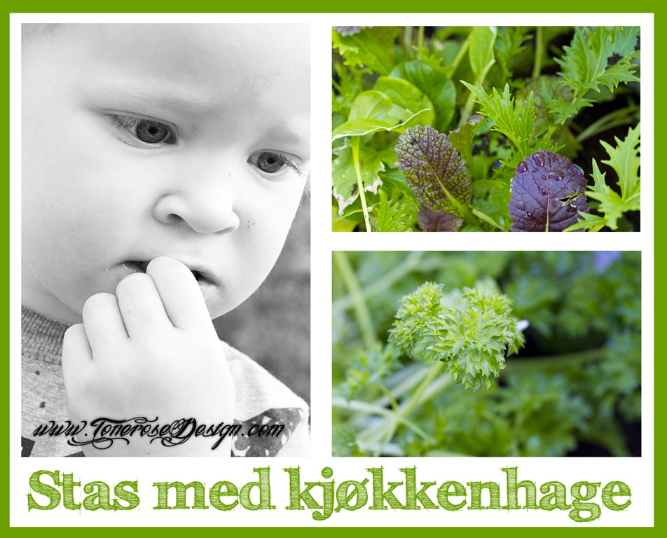 [kj%25C3%25B8kkenhage%255B5%255D.jpg]