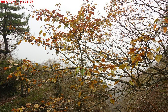 2013_1207_142925 2013_1207_142925