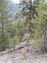 IMG_2922.jpg IMG 2922