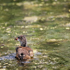 IMG_6581.JPG