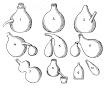 Receivers From Andreas Libavius Alchymia 1606
