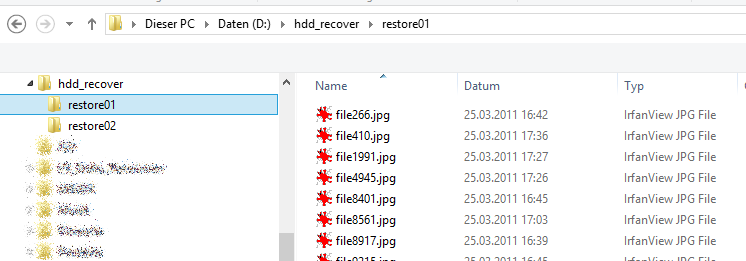 [LR_Recover_from_HDD_02_Filesystem11.png]