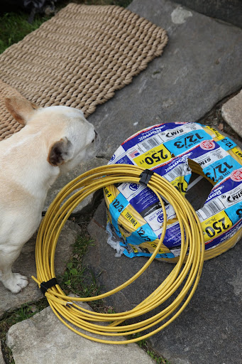 What are these heavy gauge electrical wires doing outside the flower room?