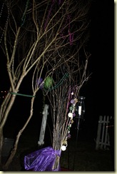 IMG_8834 IMG_8834