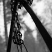IMG_8665.JPG