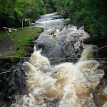 DSCF8118.JPG