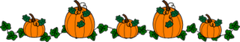 countrypumpkinsline