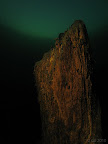 Forest:  a tree stump at dusk