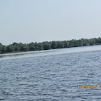 IMG_7823.JPG