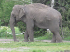 zoo 069.jpg